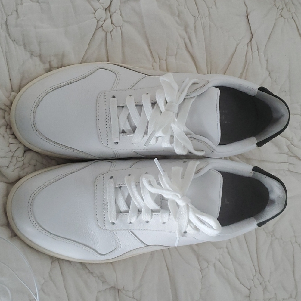 Everlane Court Sneakers Size 7.5